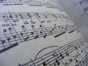 biblioteca 256 copy.jpg